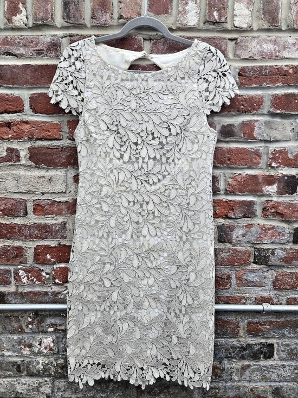 alice + olivia Floral Lace Mini Dress in White/Silver